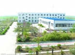 学校环境